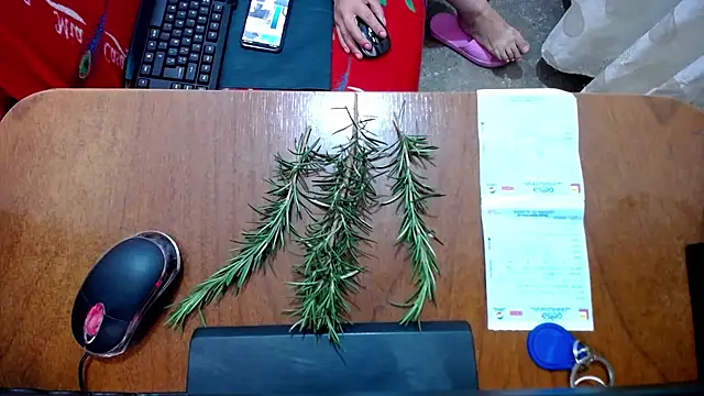 Snapshot of Malaya88 chatting on 02/16/25, 04:42 Malaya88 online show from 02/16/25, 04:42