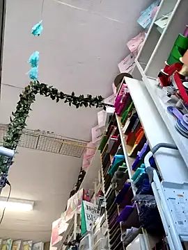 Snapshot of Mia_Novikov chatting on 10/04/25, 08:07 Mia Novikov online show from 10/04/25, 08:07