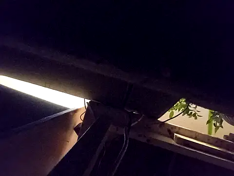 Snapshot of Daminou28 chatting on 10/19/25, 11:16 Daminou28 online show from 10/19/25, 11:16