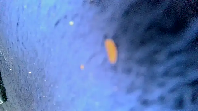 bigcocktat2dude603 online show from 12/06/24, 05:33