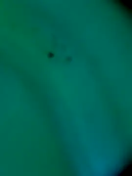 Snapshot of sm4lld1ck chatting on 10/31/25, 11:39 sm4lld1ck online show from 10/31/25, 11:39