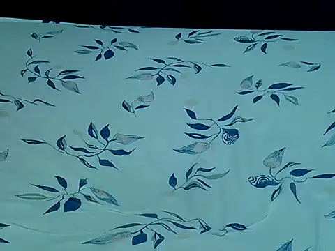 HoneyBun143 online show from 04/11/26, 08:02