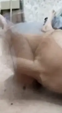 quierodarleche69 online show from 01/20/25, 03:26