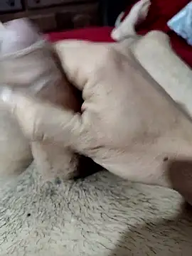 quierodarleche69 online show from 10/31/25, 02:01