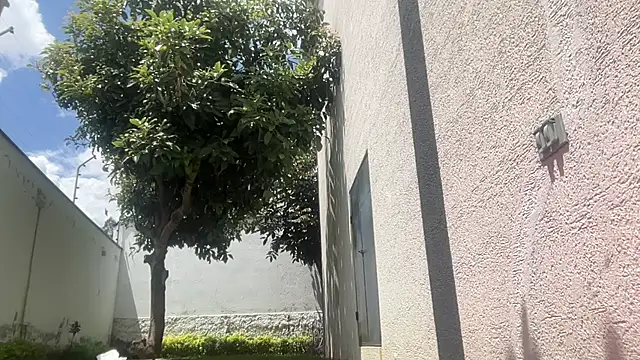 ChocolateCakeQueen online show from 11/11/25, 04:40