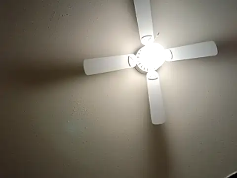 EXOTICLEXXXI online show from 12/23/25, 03:37