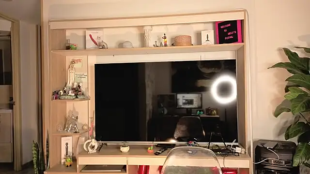 Michelle se online show from 04/10/26, 11:42