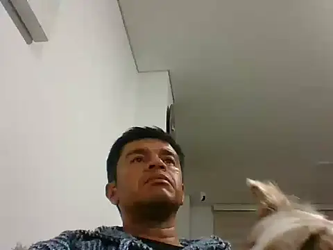 Snapshot of perxxxeo_ chatting on 10/11/25, 01:38 perxxxeo online show from 10/11/25, 01:38