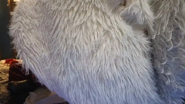 PropertyAndBiker online show from 12/06/24, 02:24