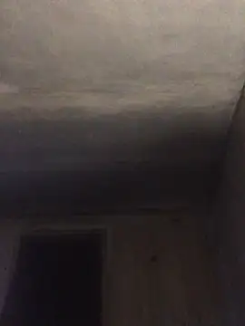 ChantalXOrchid online show from 04/15/26, 12:06