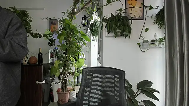 Oliver Nl online show from 01/08/26, 04:15