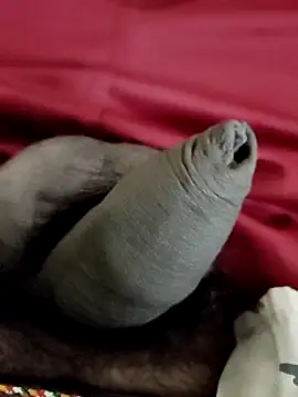 Ashish02345 online show from 01/24/25, 08:22