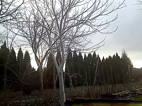 Snapshot of perversalus chatting on 02/02/25, 01:08 perversalus online show from 02/02/25, 01:08