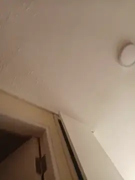 zafka 9 online show from 04/17/26, 08:12