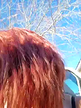 Snapshot of Dixiefaye_Pika chatting on 12/19/24, 08:13 Dixiefaye Pika online show from 12/19/24, 08:13