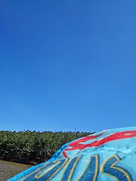 Snapshot of Dixiefaye_Pika chatting on 03/18/25, 08:15 Dixiefaye Pika online show from 03/18/25, 08:15