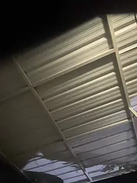 ScarlettAndClark online show from 01/15/25, 01:23