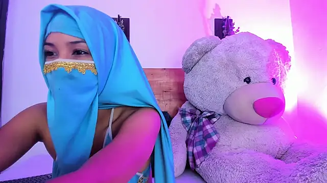 Snapshot of Adib_ali chatting on 09/11/25, 06:41 Adib ali online show from 09/11/25, 06:41