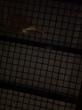 SexyB214 online show from 12/14/24, 12:44