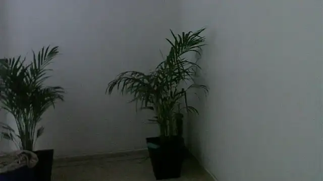 skylarhot420 online show from 03/05/25, 12:00