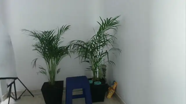 skylarhot420 online show from 03/05/25, 03:07