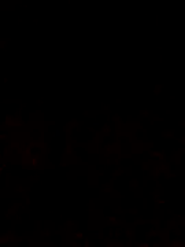 Adee21e online show from 10/12/25, 06:51