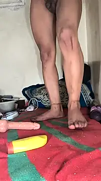 trans511 online show from 11/27/25, 03:25