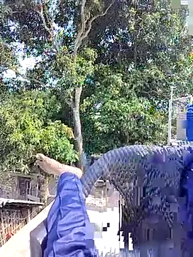 Snapshot of ErRakesh1 chatting on 11/10/25, 05:28 ErRakesh1 online show from 11/10/25, 05:28