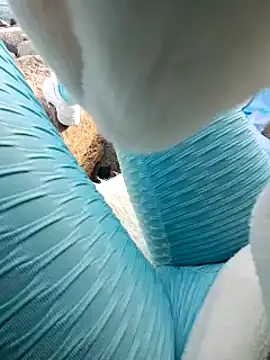 SexyErola27 online show from 01/24/25, 03:13