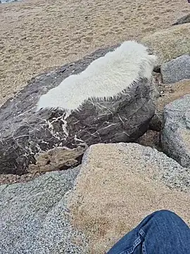 SexyErola27 online show from 12/19/25, 01:29