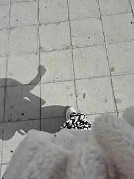 SexyErola27 online show from 04/10/26, 09:58