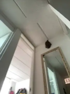 Mila Morgan online show from 02/27/25, 02:43