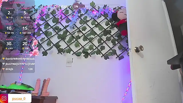 Snapshot of Pucaa_ chatting on 12/20/24, 04:53 Pucaa online show from 12/20/24, 04:53