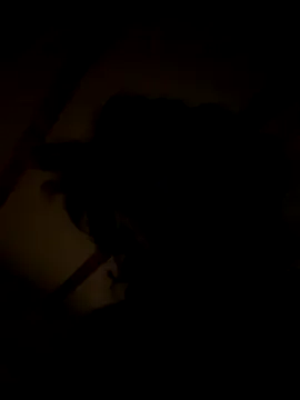 habbockwiesau online show from 11/22/25, 09:03