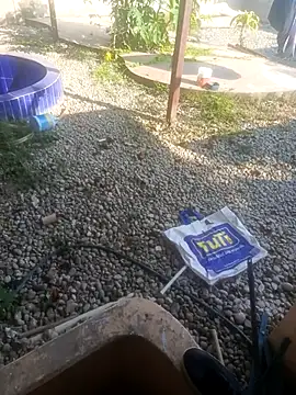 CuchiCuchi online show from 09/12/25, 09:04