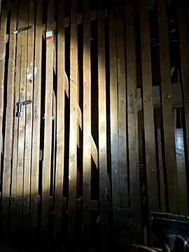 czruz online show from 09/20/25, 03:35