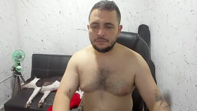  ace ventura online show from 03/11/26, 05:02