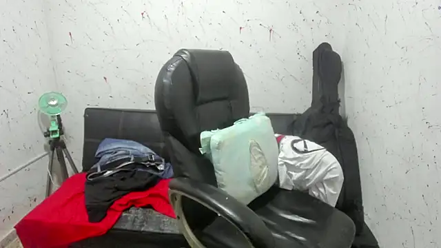  ace ventura online show from 04/15/26, 12:28