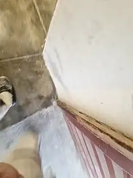 Snapshot of robertilevis chatting on 02/27/26, 08:58 robertilevis online show from 02/27/26, 08:58