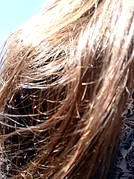 Violeta 12- online show from 12/11/24, 03:58