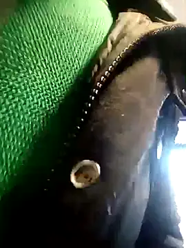 BZHsex online show from 03/09/25, 05:28