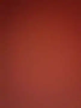 kikkastar online show from 12/25/24, 10:59