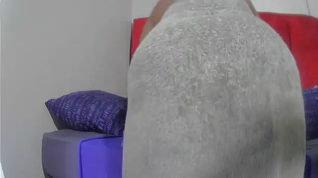 assqueenxx online show from 12/02/25, 04:18