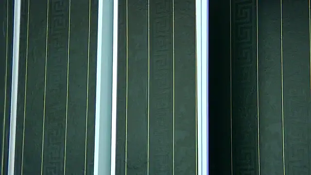 SophiaVilner online show from 04/08/26, 06:52