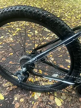 Snapshot of Shyboy817 chatting on 10/22/25, 02:50 Shyboy817 online show from 10/22/25, 02:50