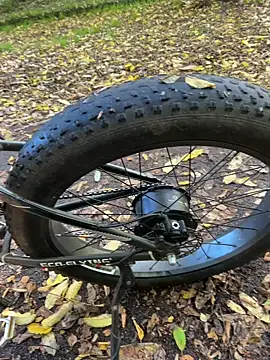 Snapshot of Shyboy817 chatting on 10/28/25, 02:20 Shyboy817 online show from 10/28/25, 02:20