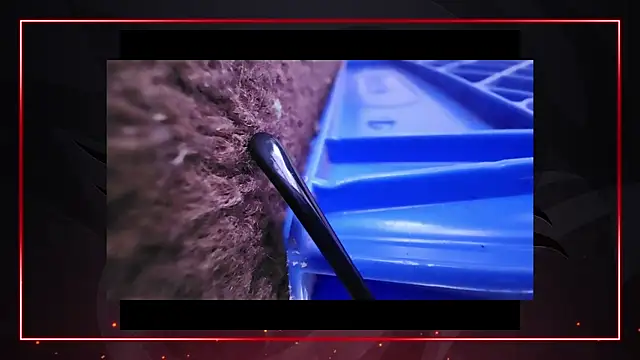 Snapshot of AriellaTaylor chatting on 12/11/24, 04:42 AriellaTaylor online show from 12/11/24, 04:42