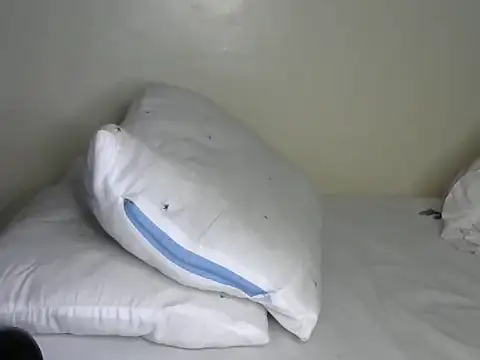 Novah  online show from 04/08/26, 01:38