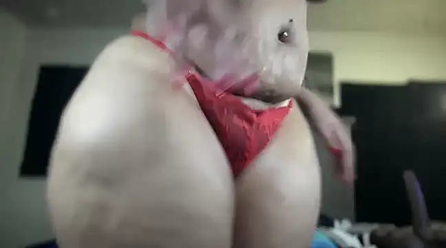 cocaNutt online show from 12/12/24, 12:22