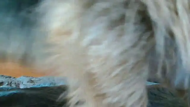 Andra Love online show from 05/24/26, 07:08